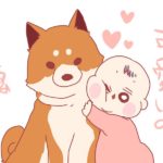 ダブルコートわんこ飼いのみなさん、地獄が始まりますね。