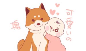 ダブルコートわんこ飼いのみなさん、地獄が始まりますね。