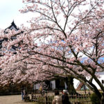 ひこにゃん洗脳ソングが頭に耳にこびりついて離れない。