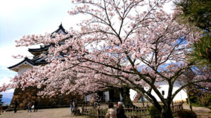 ひこにゃん洗脳ソングが頭に耳にこびりついて離れない。